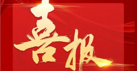 中達集團及多家子公司上榜2024年嘉興民營企業百強榜單！